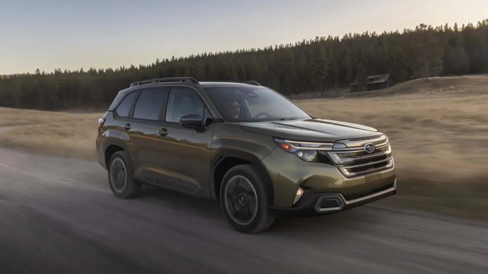 l-intro-1761941929683010