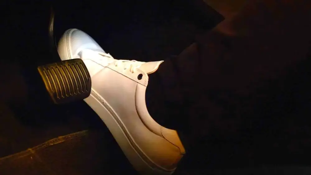 l-intro-1762287075400465