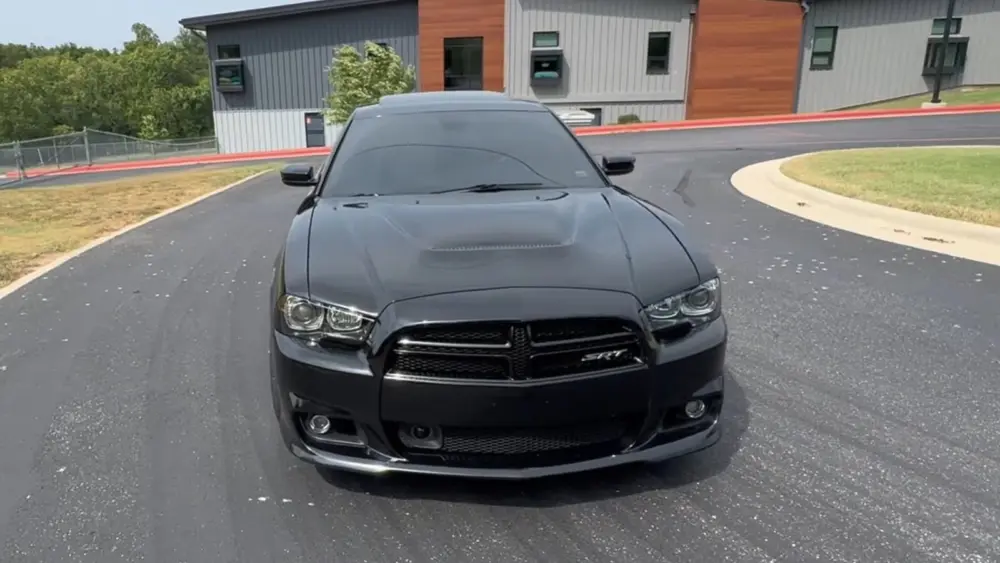 l-intro-1762372323170124