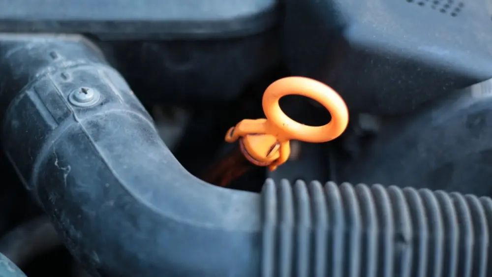 l-intro-17623717141522