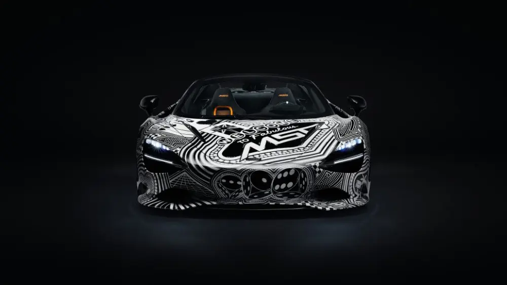 2-project-viva-head-on844391