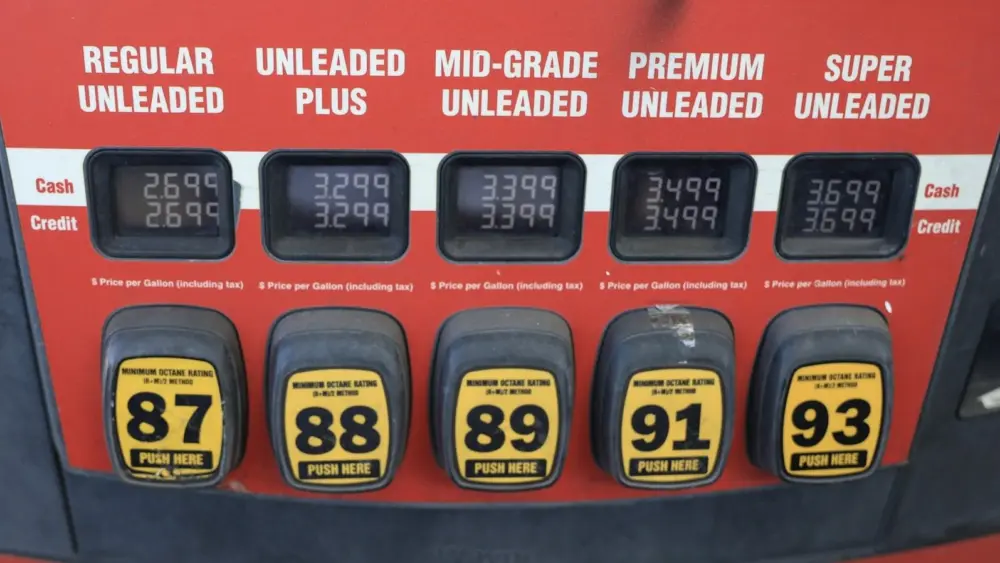 l-intro-1762794812210080