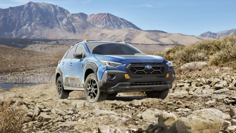 l-intro-1762808526182021