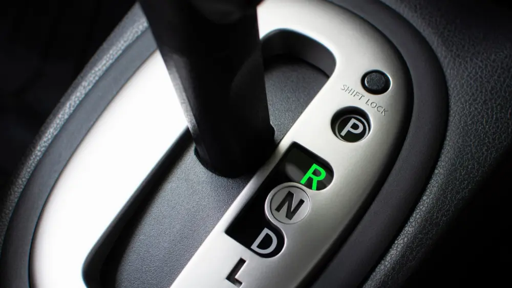 l-intro-1762877173655815