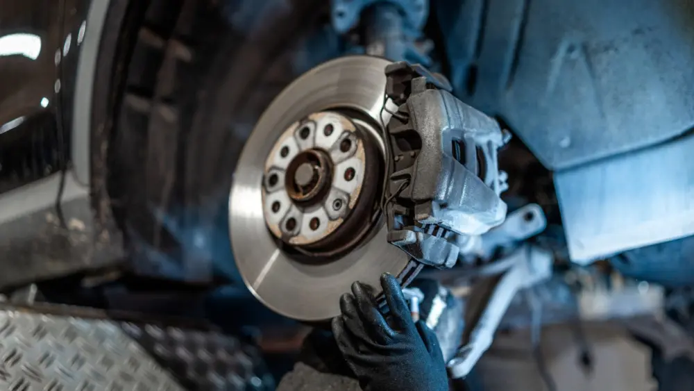 l-intro-1762815692257823