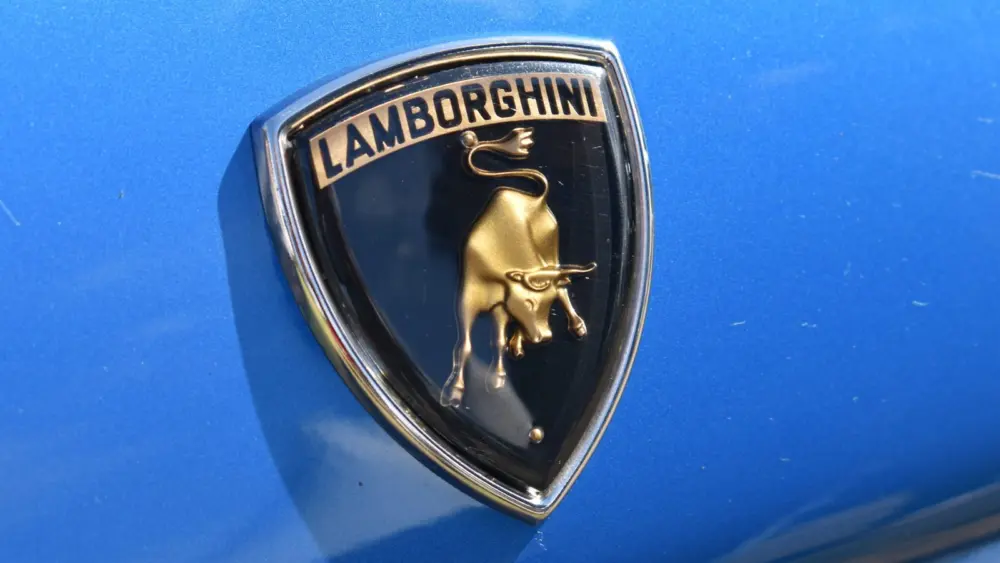 l-intro-1762881058369430