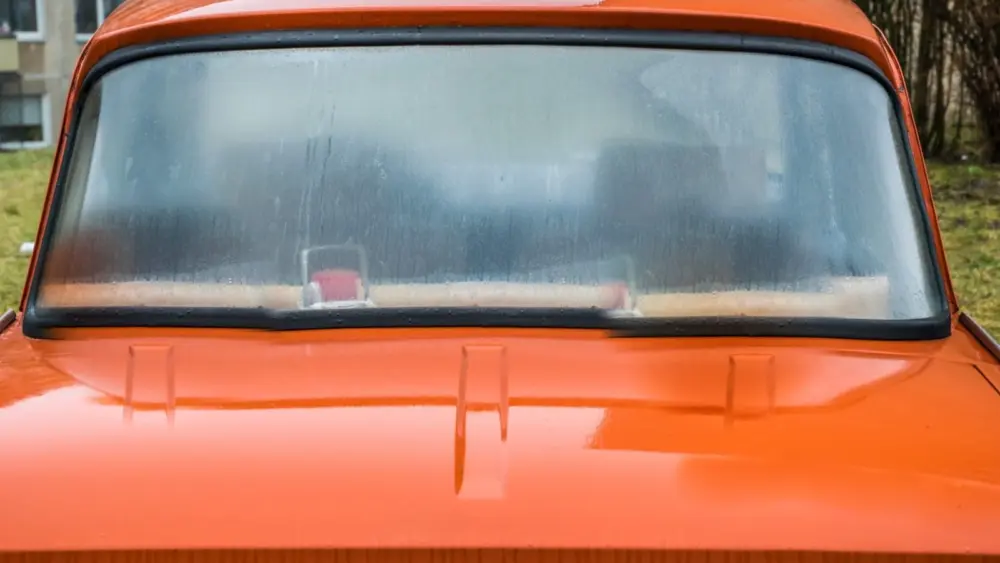 l-intro-1762891745871438