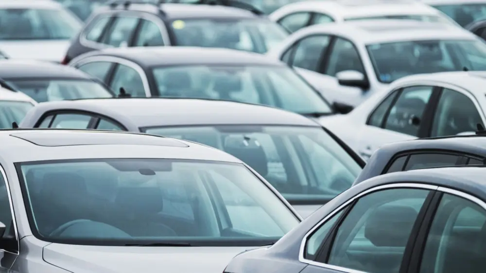 l-intro-1762968896191262