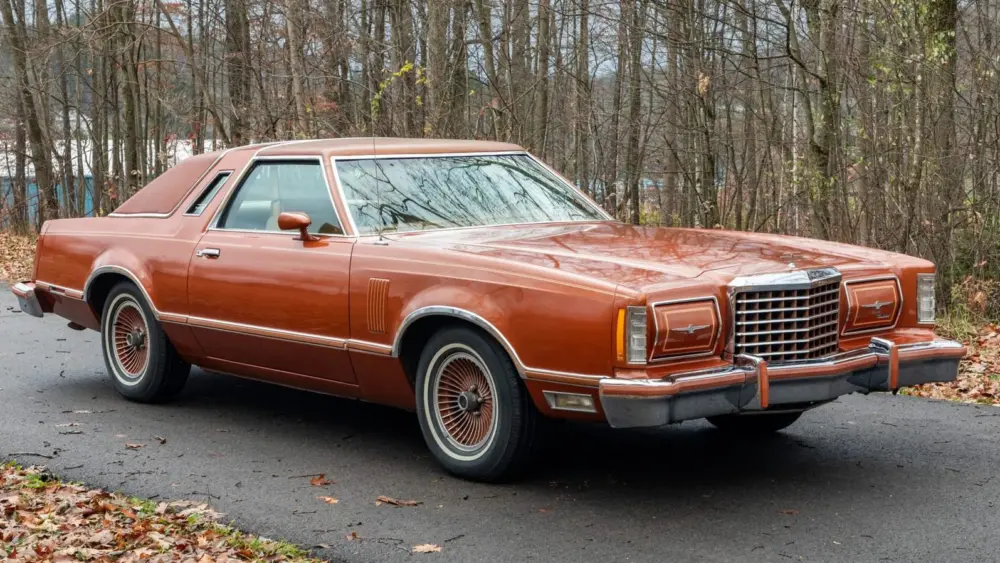 l-intro-1763159555726699