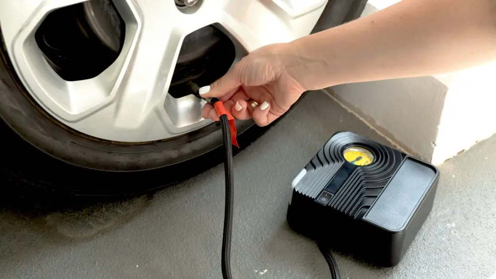 l-intro-1763064293348523