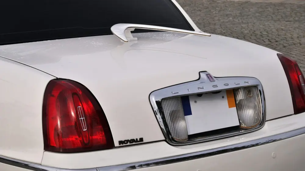 l-intro-1763061977523204