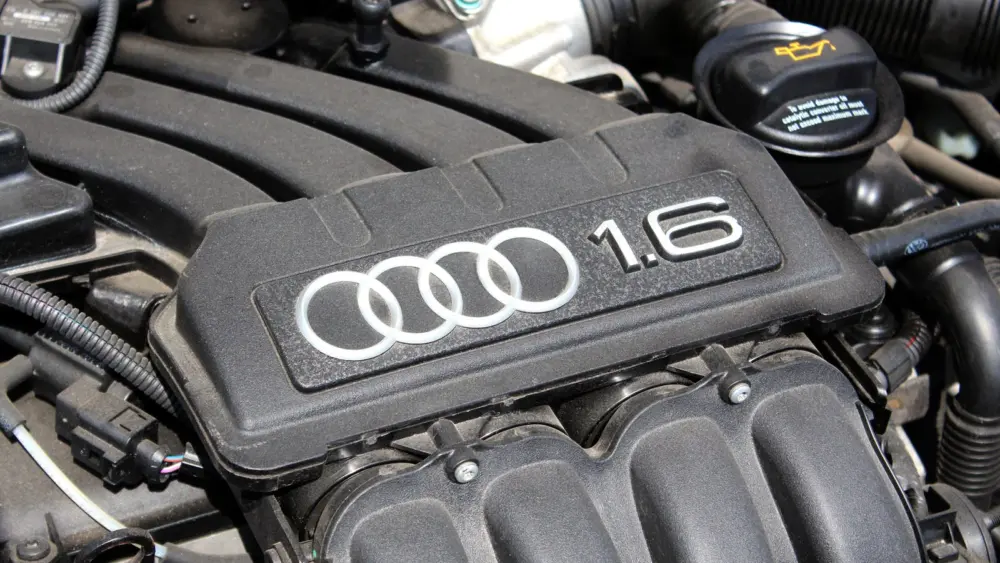 l-intro-1763060544892911