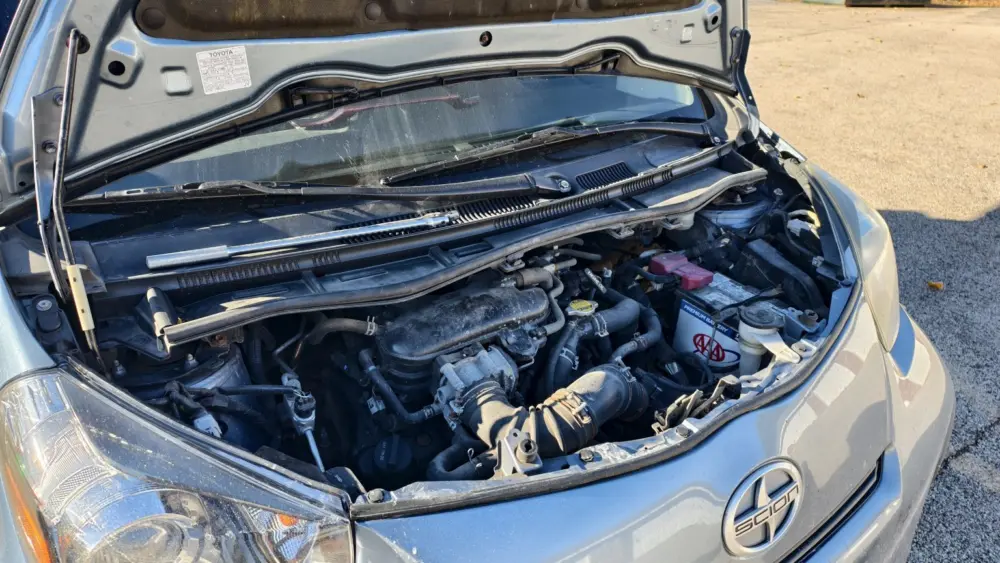 img_20251116_140611-1536x1152