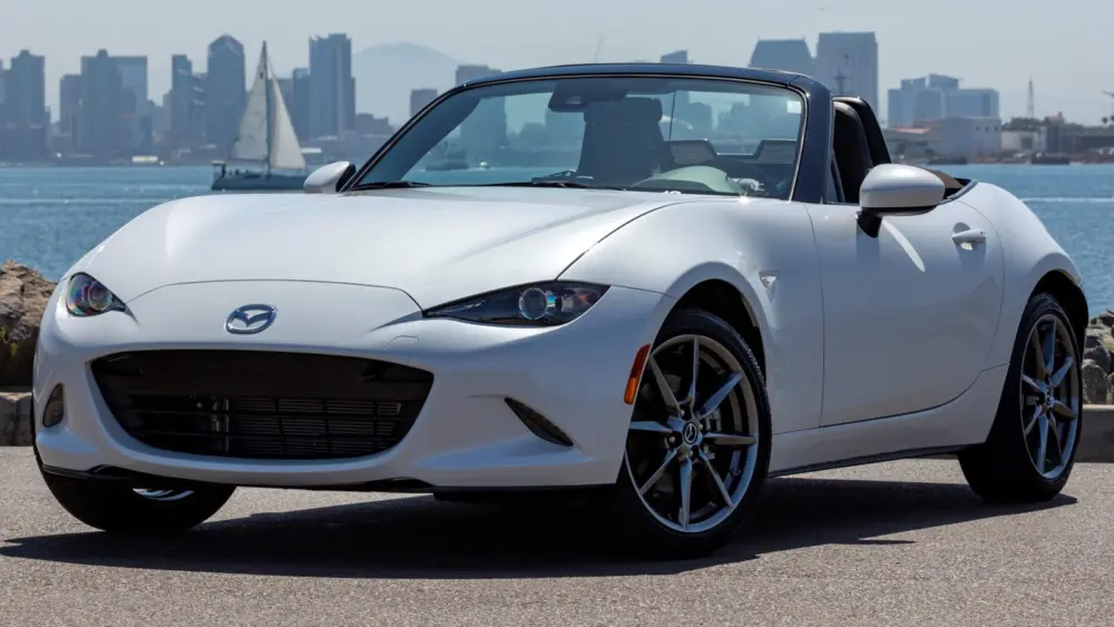 l-intro-1763135360550526