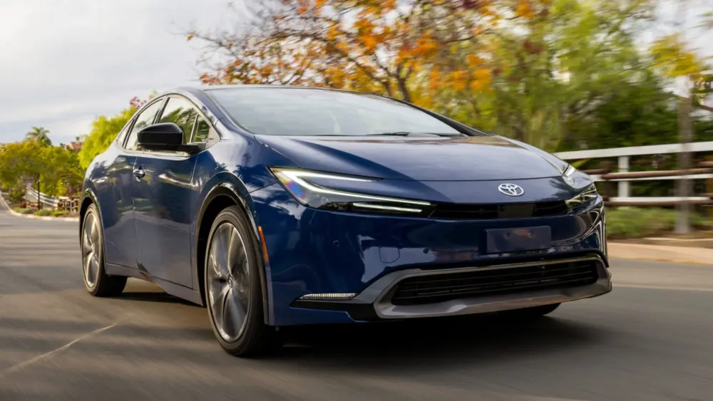 l-intro-1763482850762203