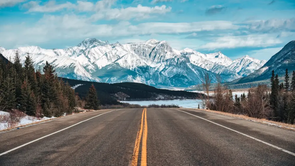 l-intro-1763137944594028