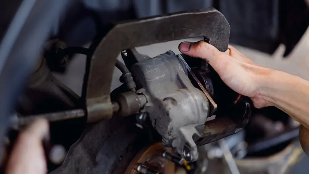 l-intro-1763415059817729