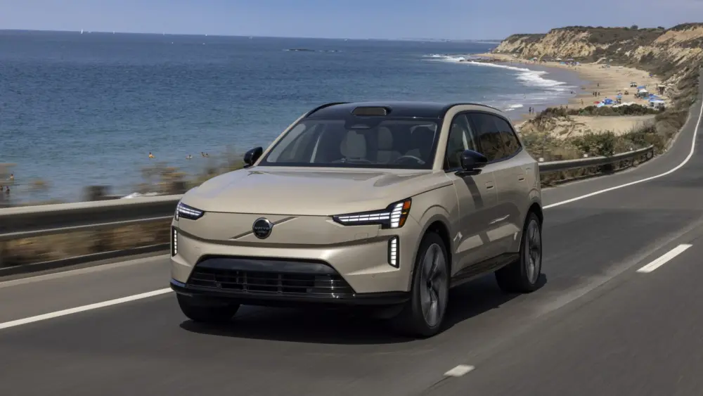 l-intro-1763739472308780