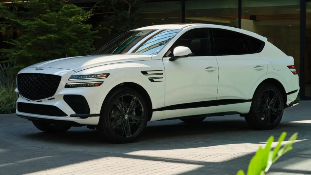 l-intro-1763582689425809