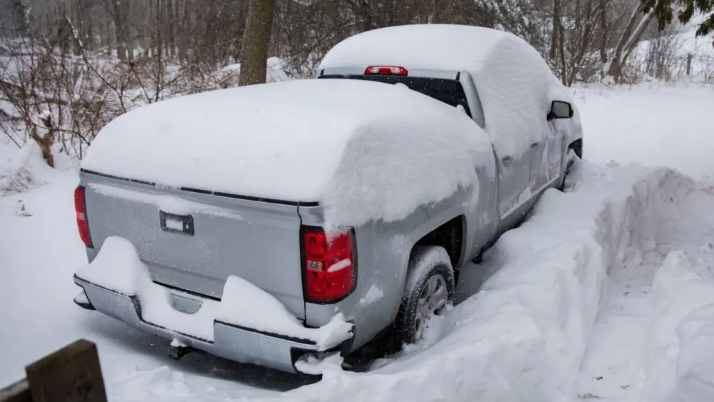 l-intro-1763737023222153