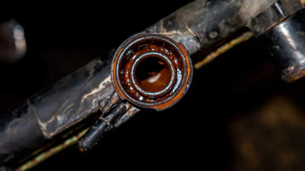 l-intro-1763753415952709