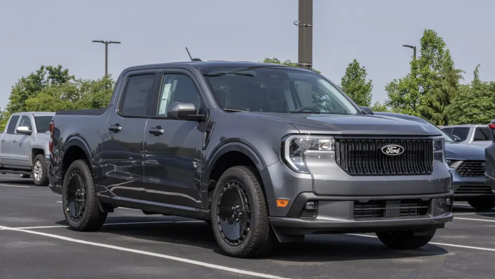 l-intro-1763754675396208