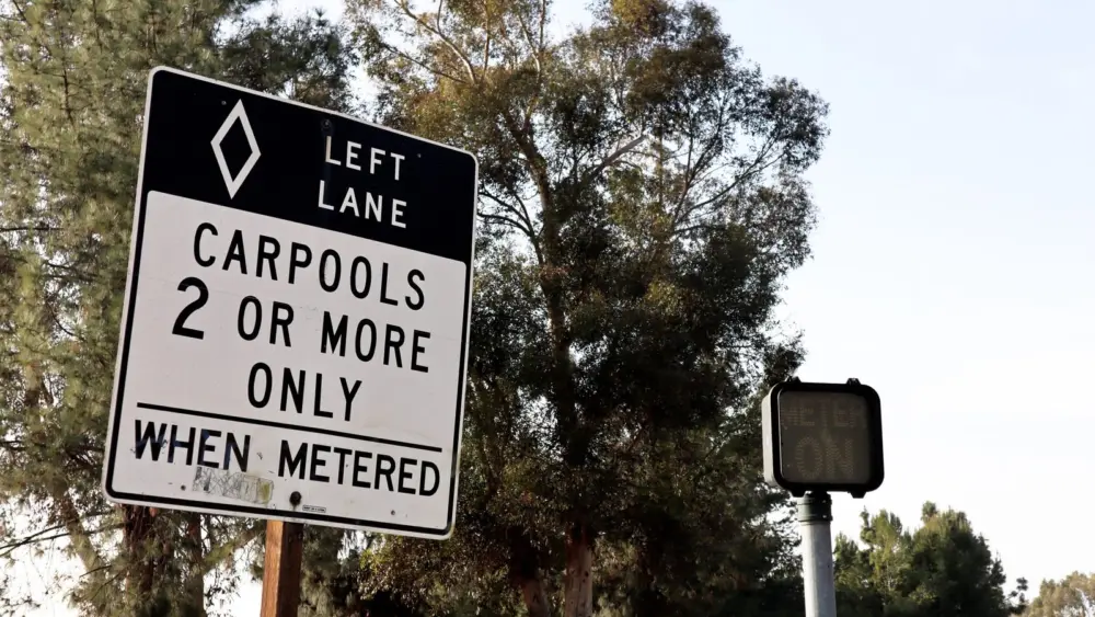 l-intro-1764717059361498