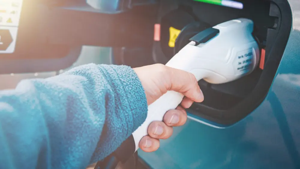 l-intro-1764961228427417