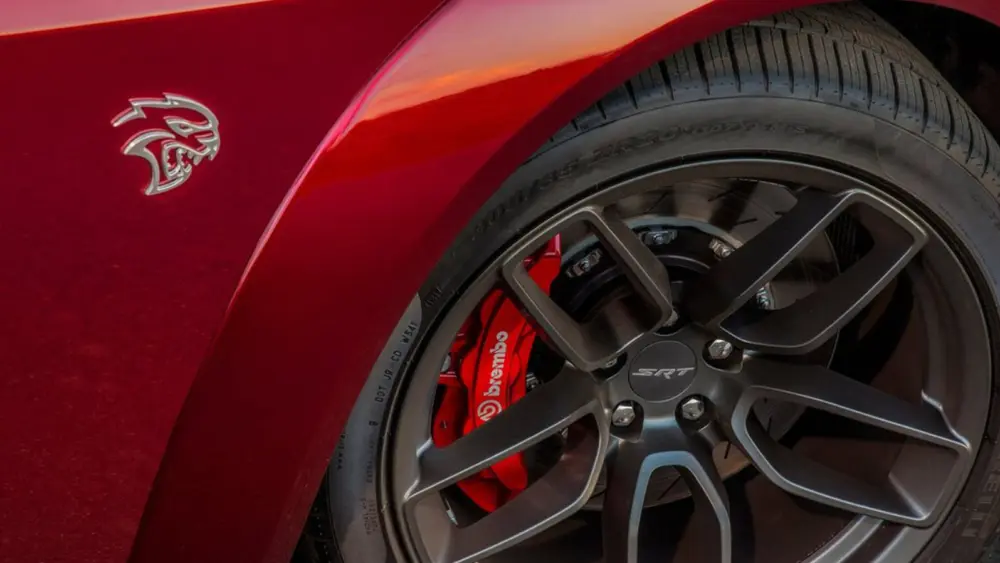 l-intro-1764444184966026