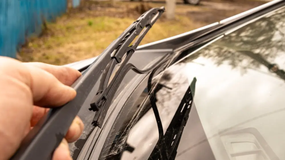 l-intro-1765234733329557