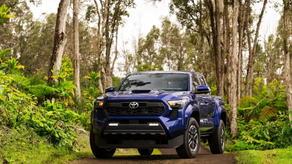 l-intro-1764113872951142