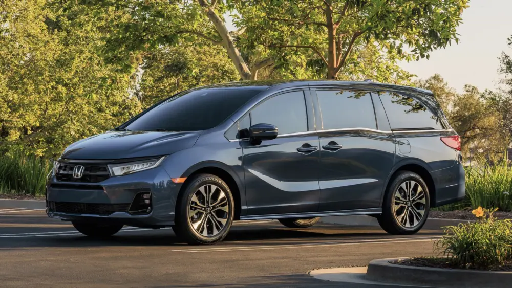 l-intro-1766160856918624