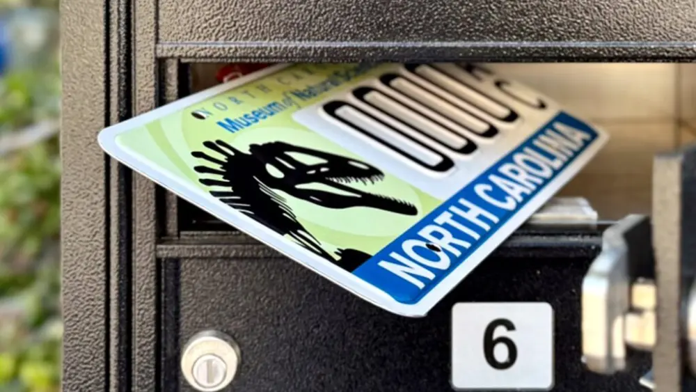 wgegrerg-copy-1024x5764608-1