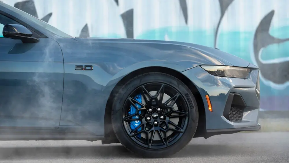 l-intro-1763917128387357