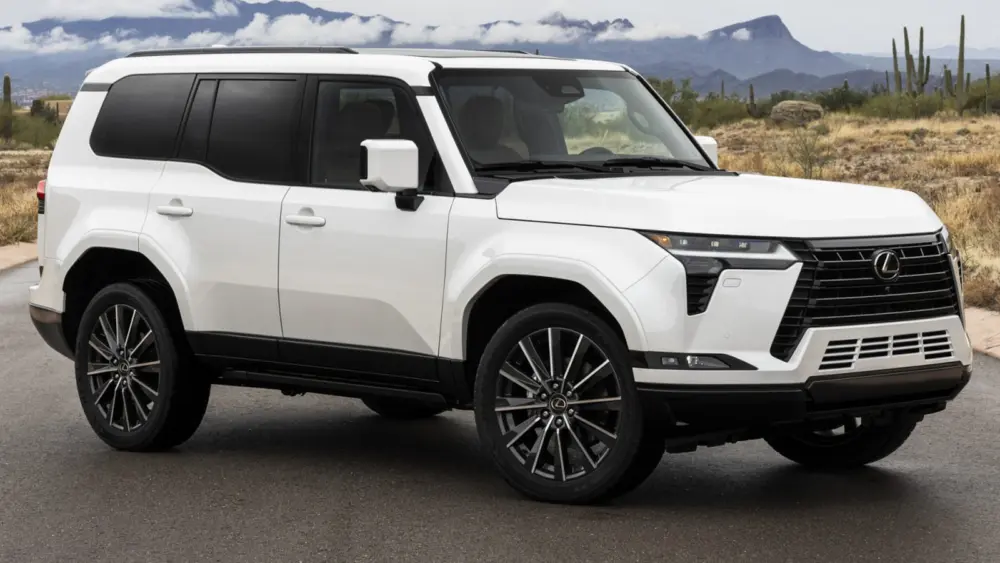 l-intro-1765913036823367