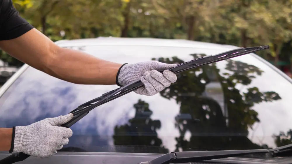 l-intro-1765992428501434