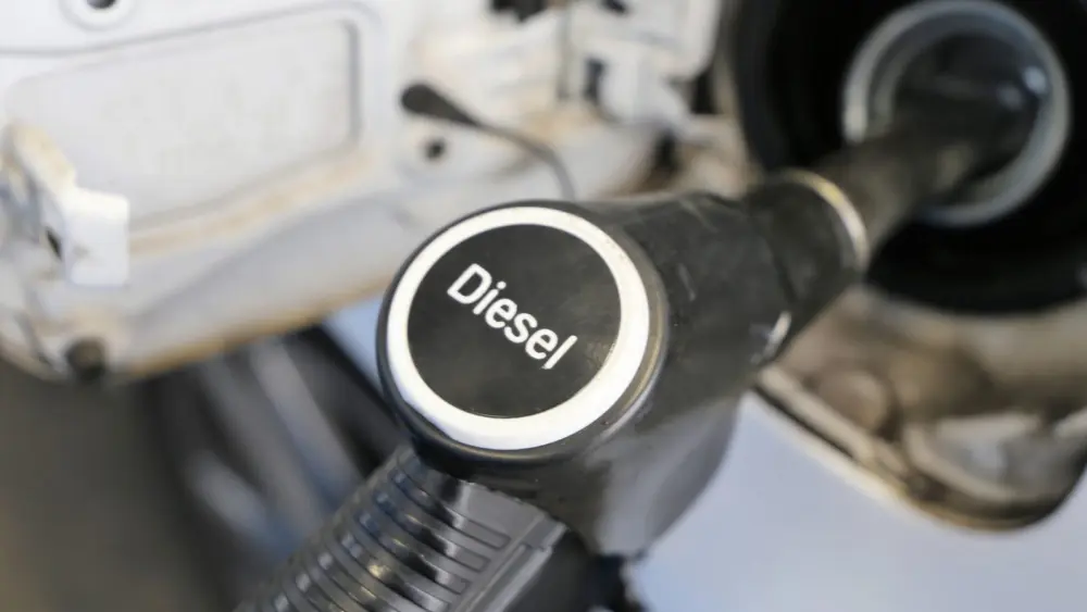 l-intro-1766504591837683