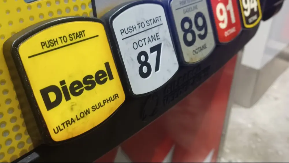 l-intro-1766157296443944