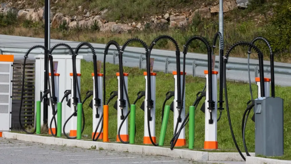 l-intro-1766161351294727