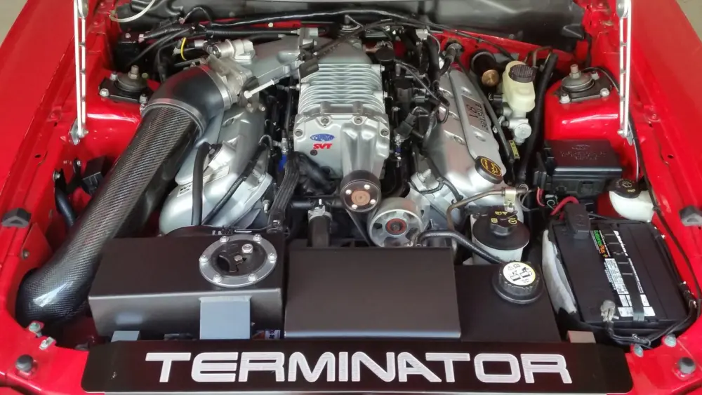 l-intro-1766439391895296