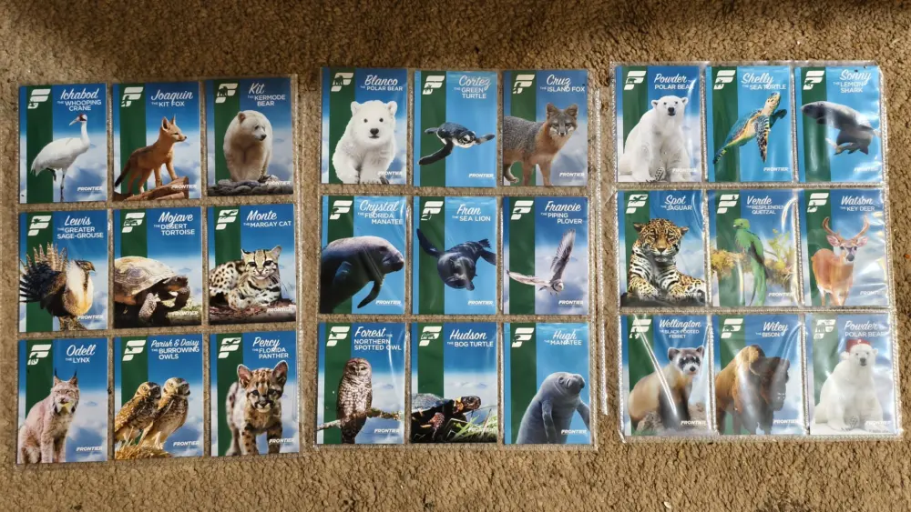 img_20251230_122559-scaled