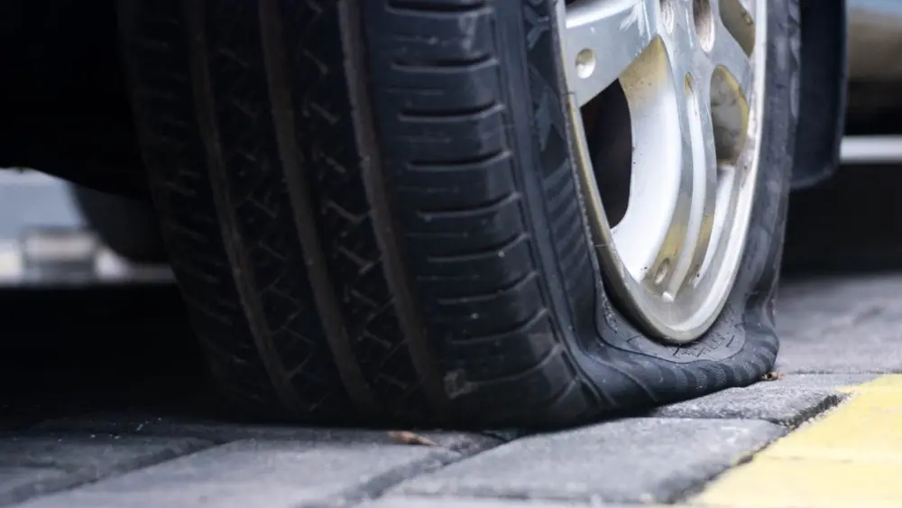 l-intro-1766493276163779