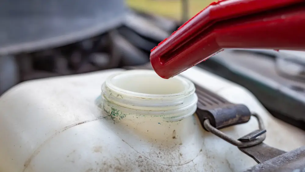 l-intro-1767885456566398