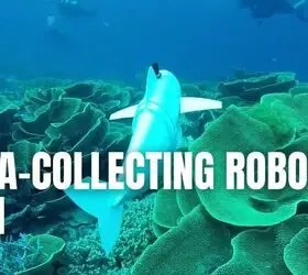 this-robot-fish-collects-ocean-data309874