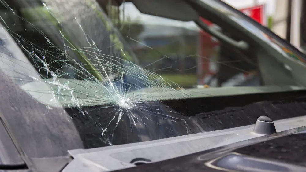 l-intro-1767996080527740