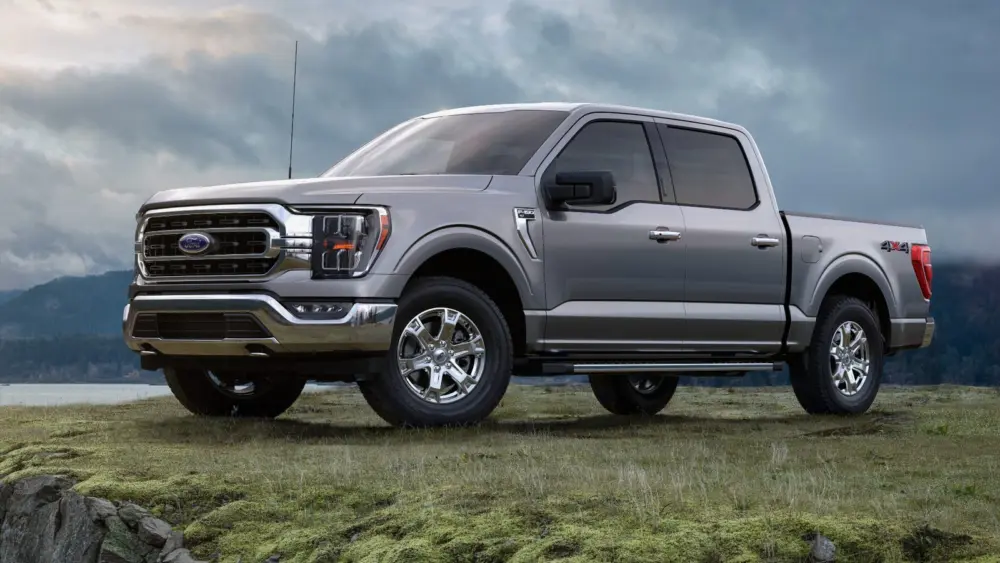 l-intro-1768256818286018