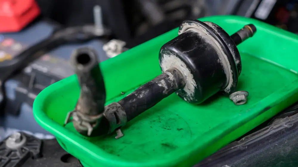 l-intro-1768338731843985