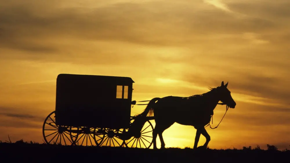 l-intro-1768506713279394