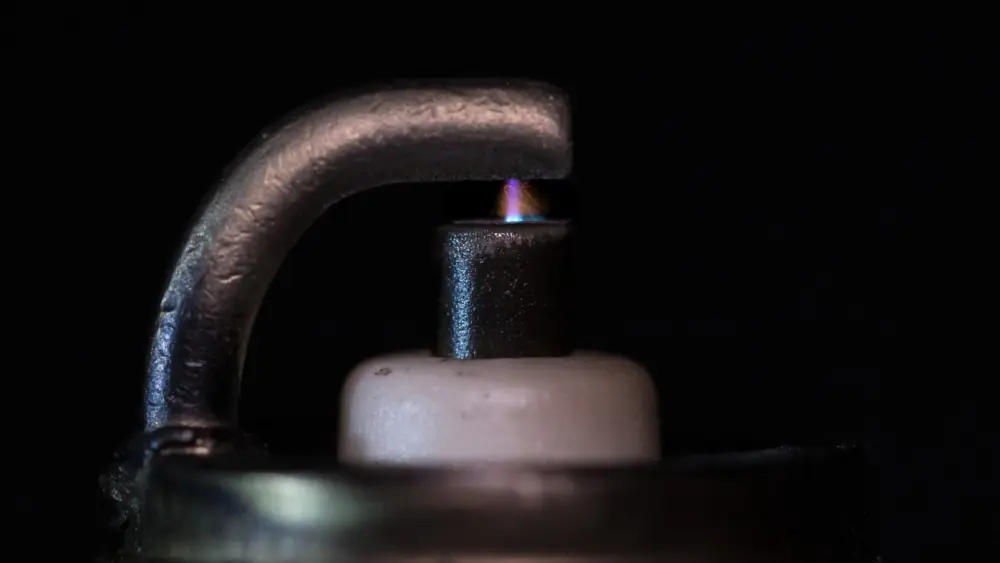 l-intro-1768343351241912