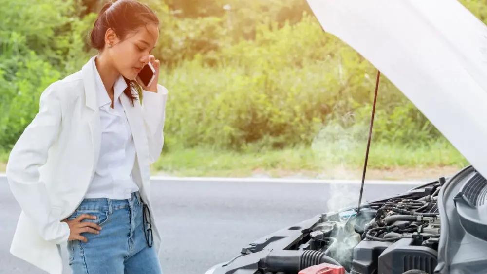 l-intro-1768348060988501